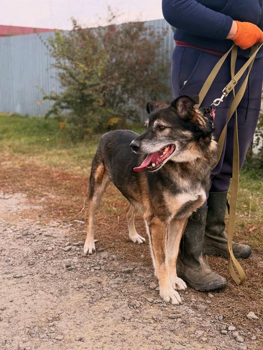 Хлопчик, віддаємо