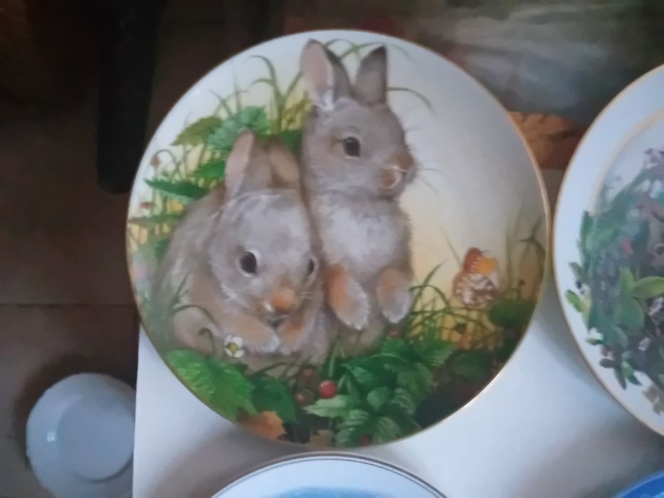 Vendo Conjunto de Pratos antigos em estado razoavel