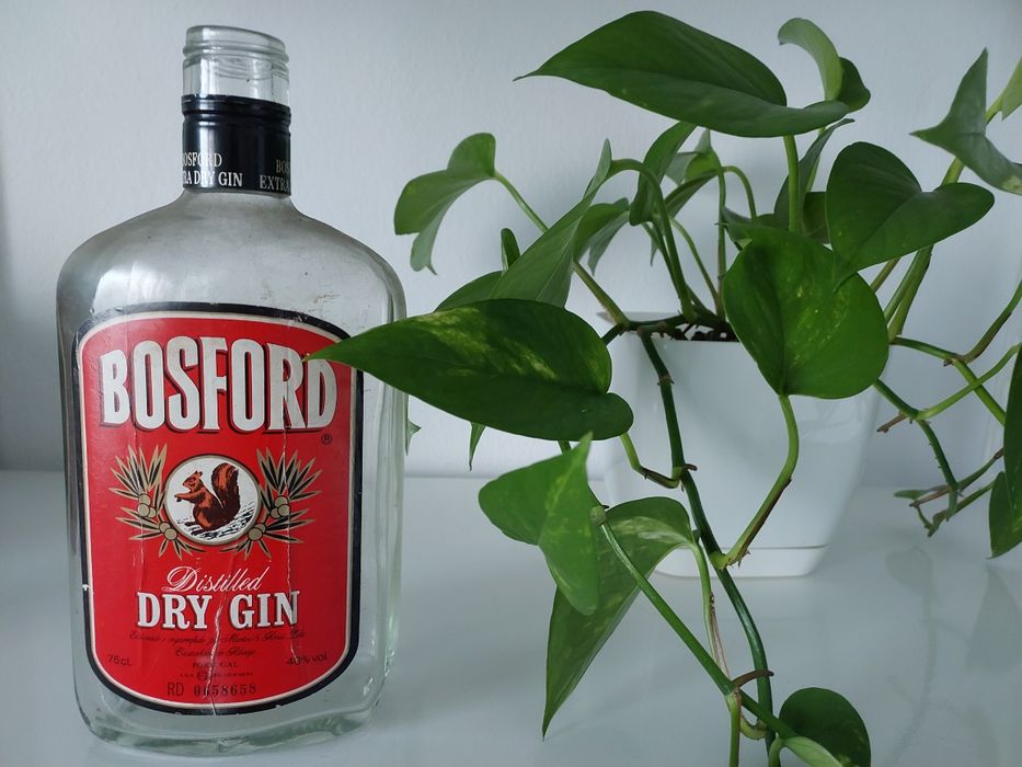 Garrafa Vazia Vintage - Bosford Dry Gin 1960.1970