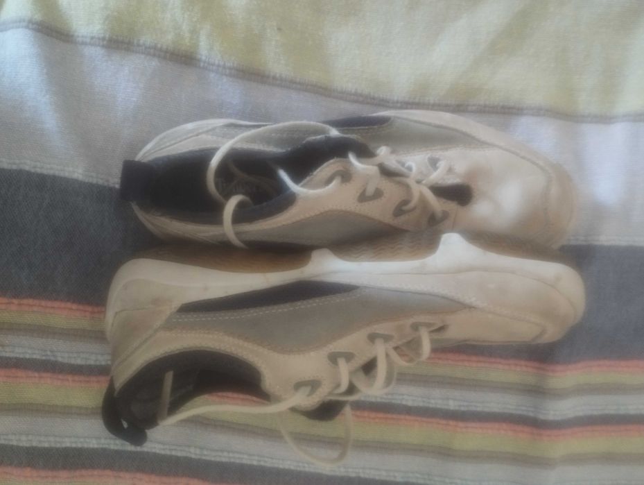 Sapatos / Sapatilhas TIMBERLAND