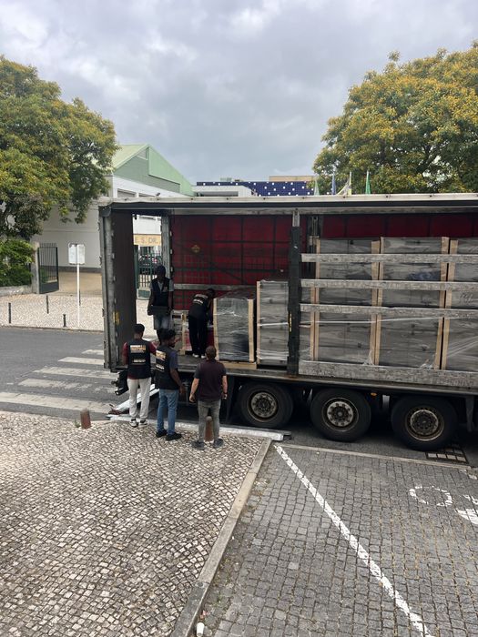Mudanças e transportes urgentes