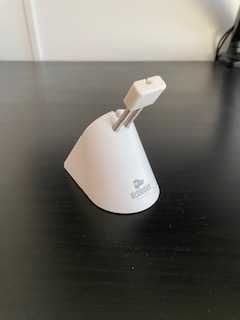 Bunge Glorius for Rat64584889471107120