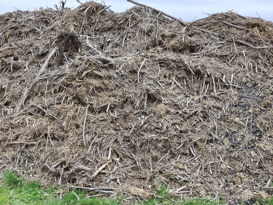 Oddam resztki po mulczowaniu.