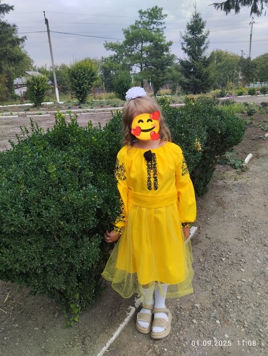 Вишиванка,святкова