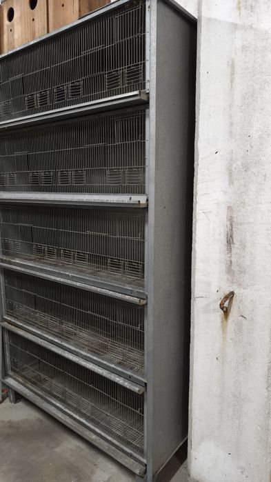 Viveiro para pássaros