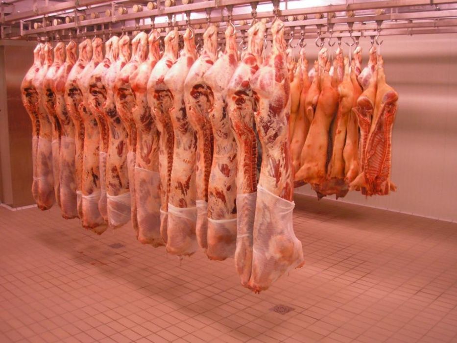 Камера-холодильник, морозилка для мяса, агрегати bitzer frascold Луцьк