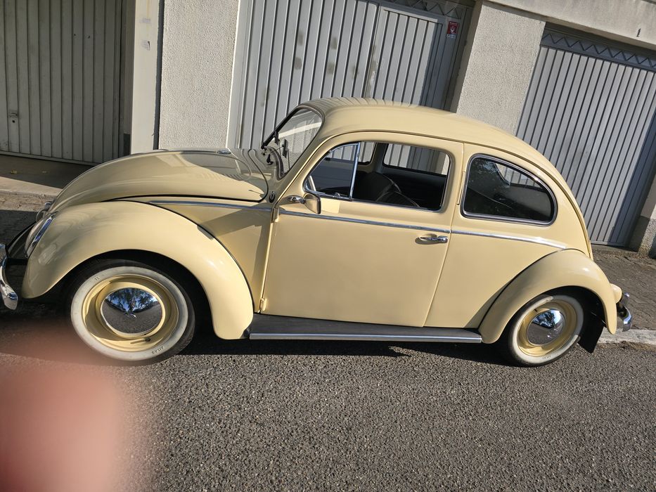 Carocha para eventos