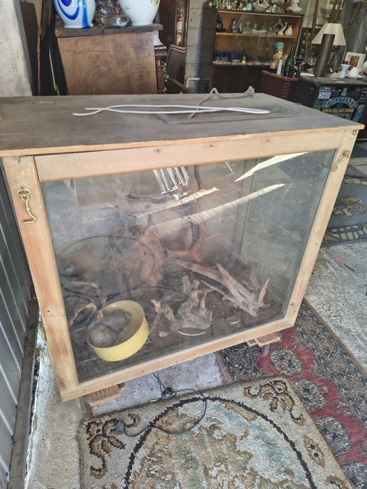 Terrarium plus wyposażenie