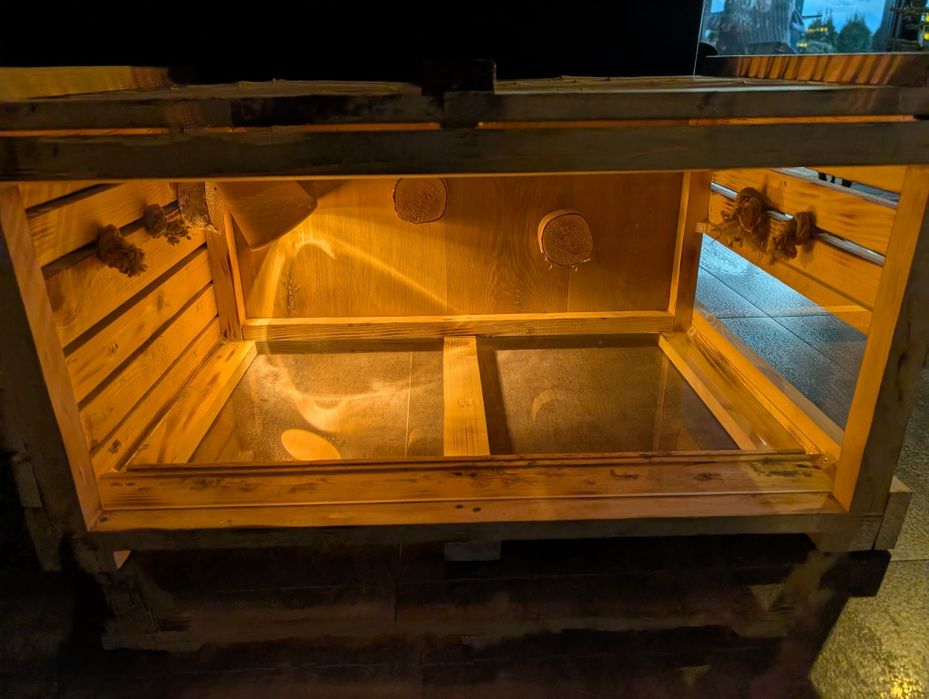 Terarium dla żółwia lądowego, iguany itp.