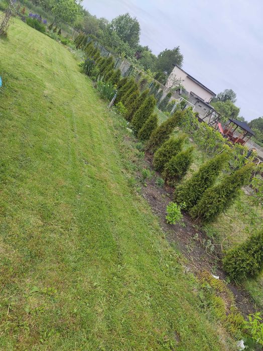 Ogródek/Działka ROD PRZYRODA Elbląg 600 m² - Widok 6
