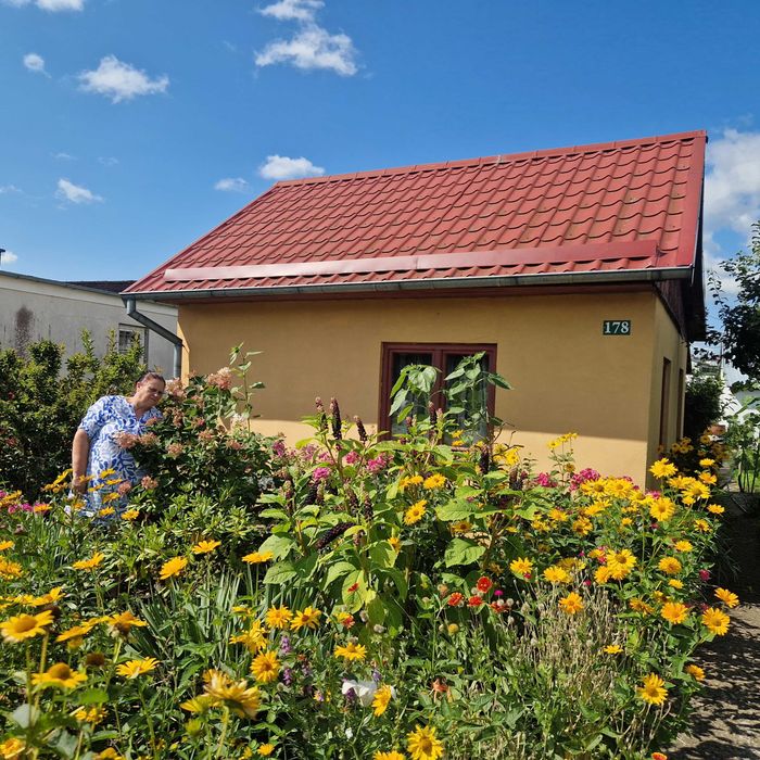 Piękna, rodzinna działka ROD 457 m² - Widok 2