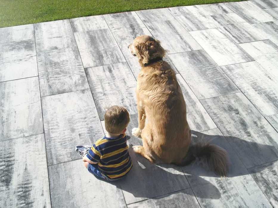 Płyta tarasowa 100cm x 50cm betonowa Drogbruk talamona projekt gratis