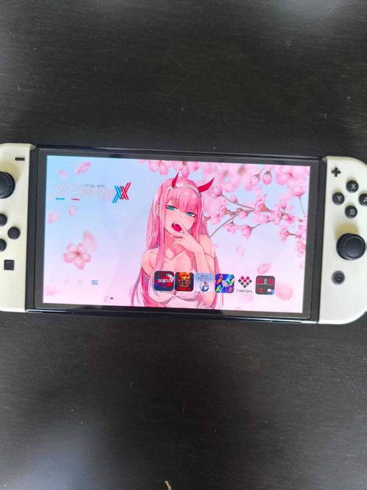 Nintendo Switch Oled CFM Hekate