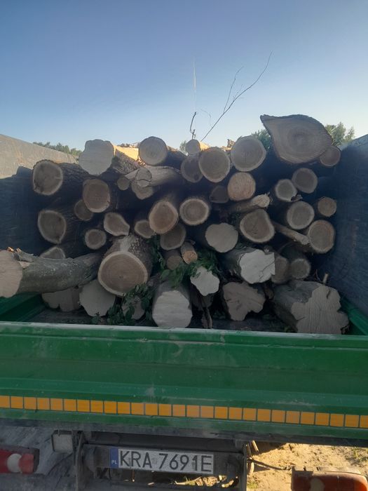 Drewno kominkowe opałowe