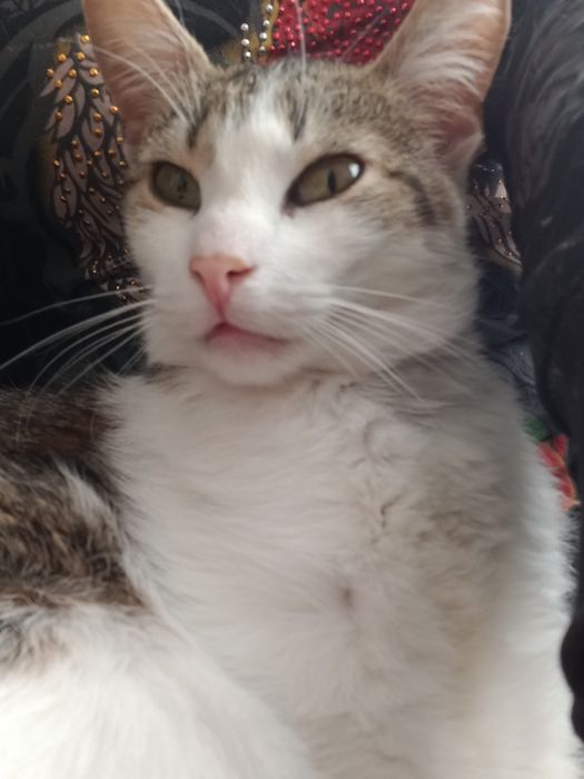 Kto pokocha słodziaka