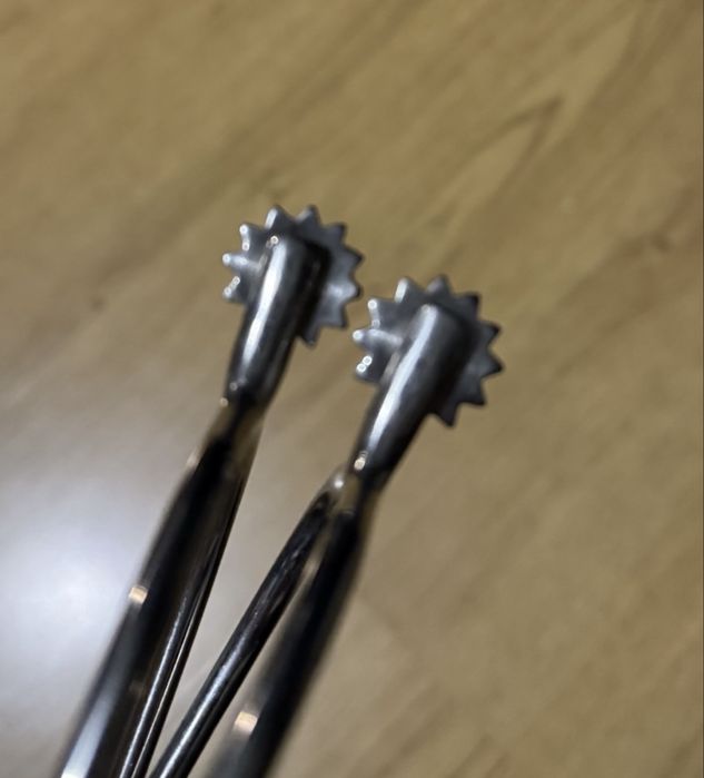 Esporas com roseta à Portuguesa para equitação