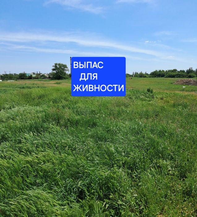 Продам дом в г.Самар (Новомосковск) . С БИЗНЕСОМ!