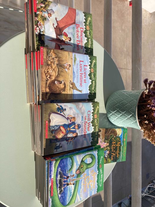 Livros infantis - Coleção Magic Tree House - Super set #1 - #49