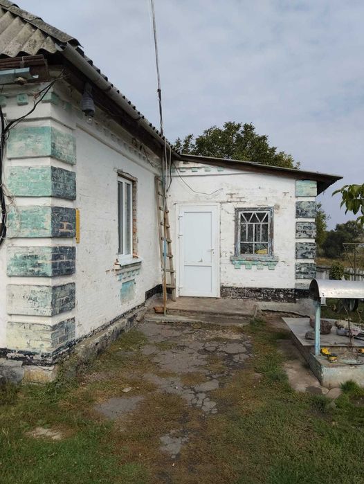 1/2 садиби  в селі  Оситна Новоукраїнського району