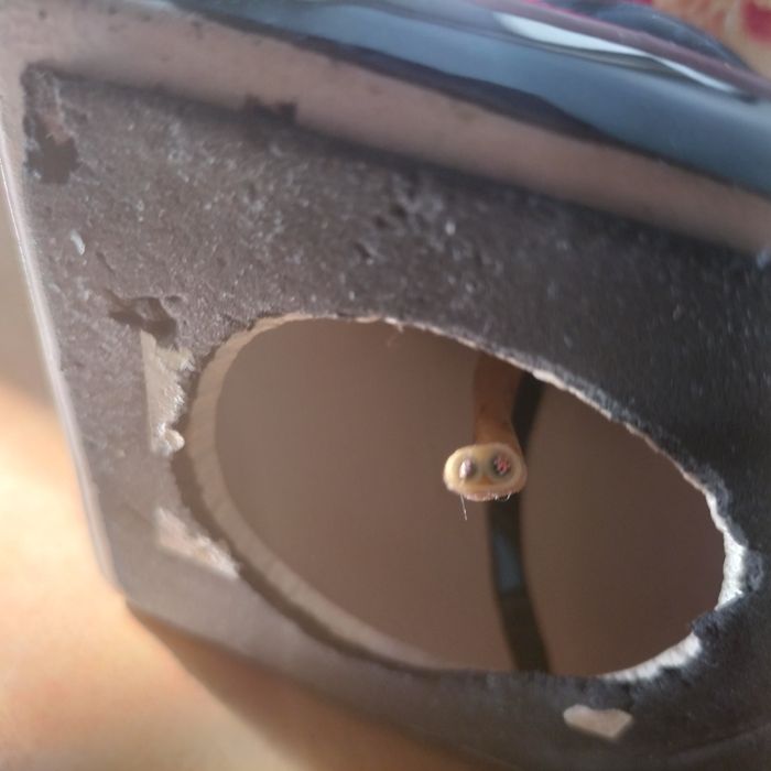 Порцелянова лампа