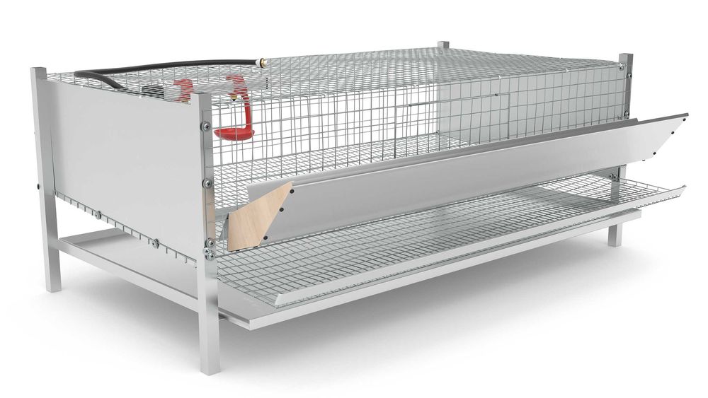 klatka dla przepiórek