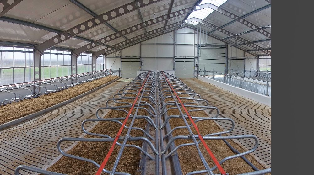 Budowa budynków inwentarskich , obór dla krów, silosów MLEKO-SYSTEM