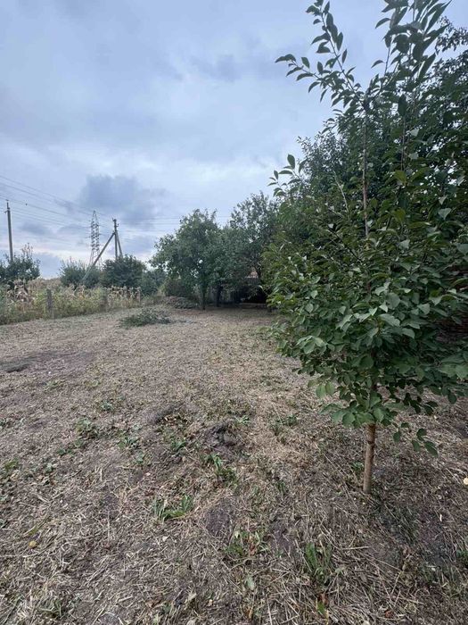 Продається дачний садівниче товариство світанок