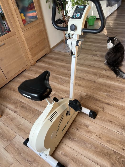 Rower Stacjonarny Kettler Derby
