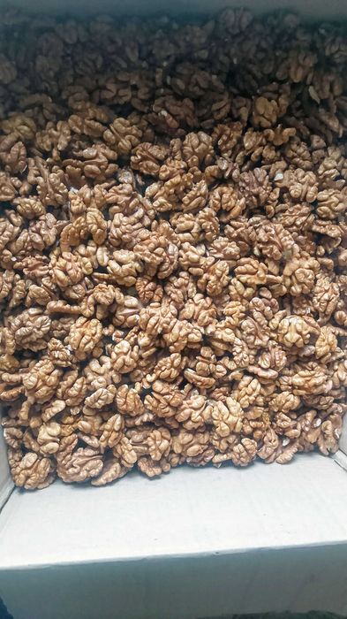 Продам битые грецкие орехи