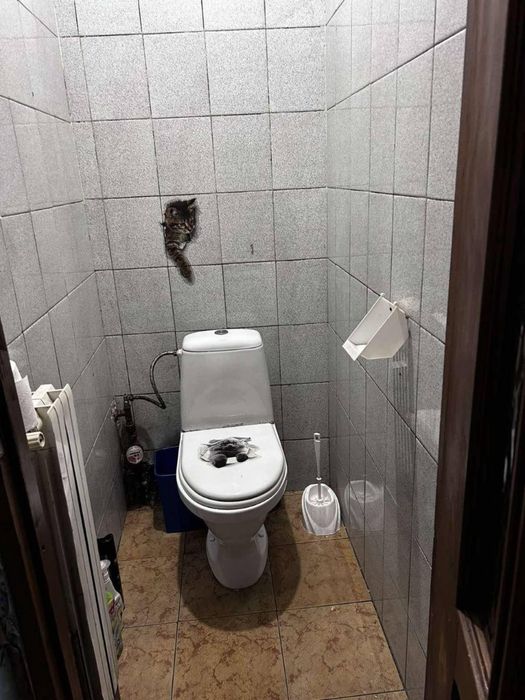 Оренда 2-кім. квартири вул. Олени Степанівни