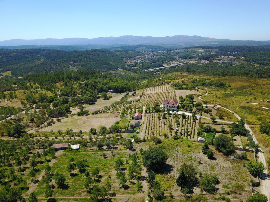Quinta da Dorna Sao Salvador / Viseu