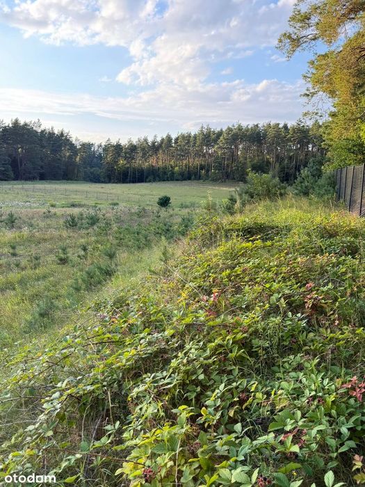Dom na dużej działce 13 416 m² | Stężyca | blisko jeziora