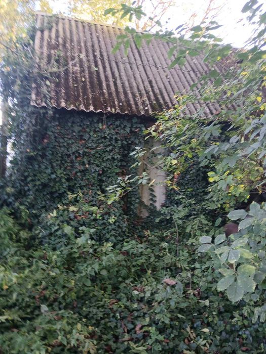 Земельна ділянка з будинком і літньою кухнею