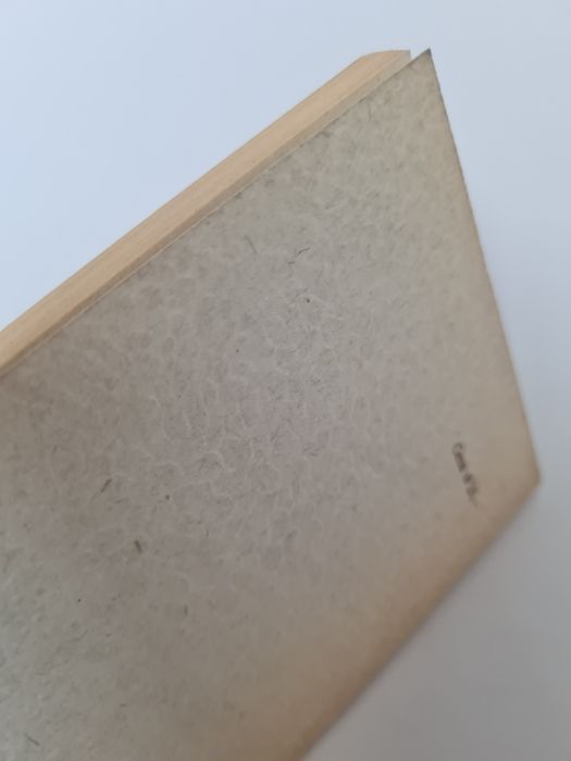 Praca w Biblii - Margherita Riber