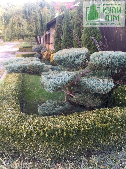 Продам садибу в тихому та затишному місці м.Знам'янка.