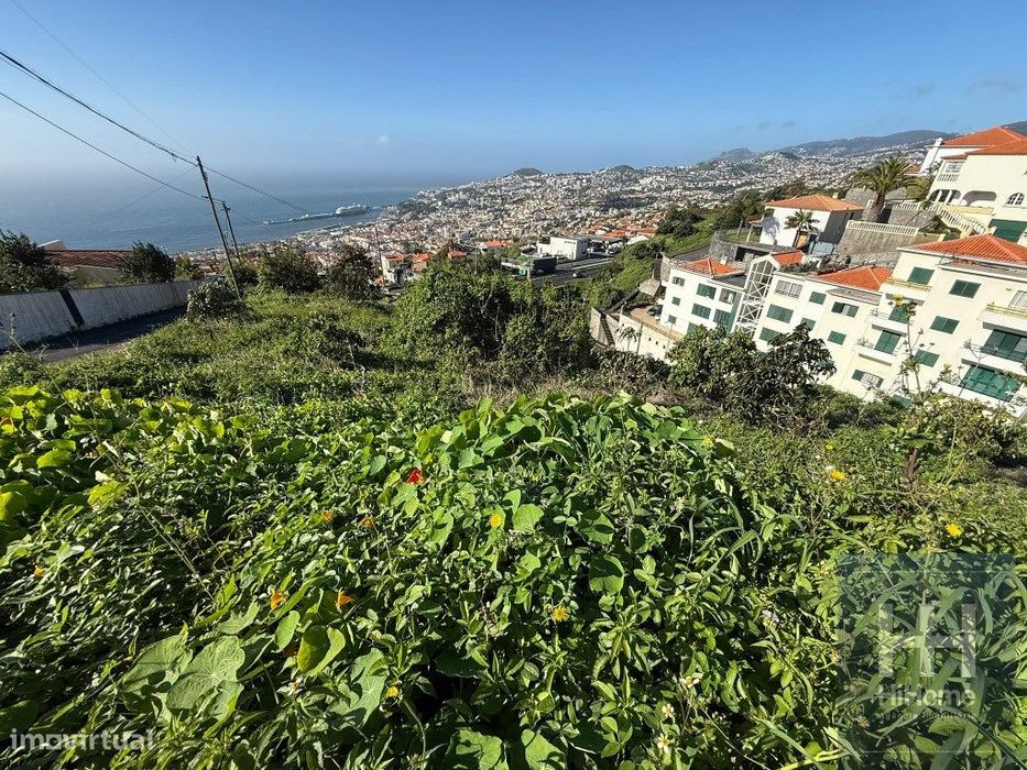 Terreno com 2050 m2 no Jardim Botânico - Vista Mar e Porto do Funchal