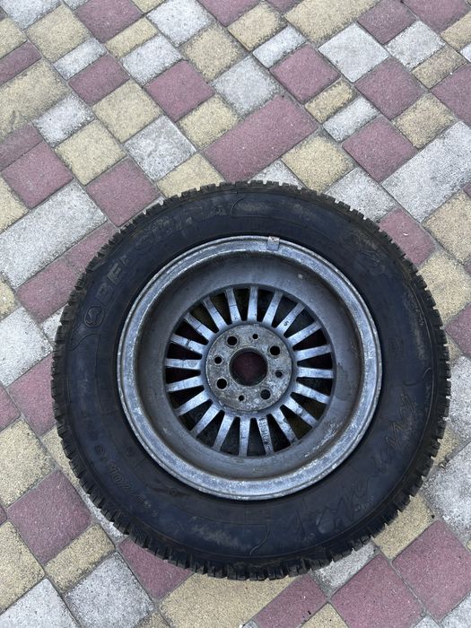 Резиной р13 белка