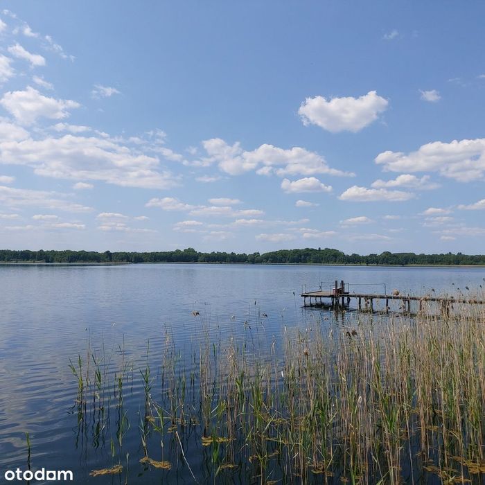Dom całoroczny z działką nad jeziorem