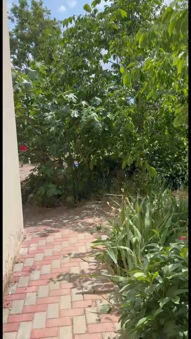 Продам дом Алтестово Чайка  срочно