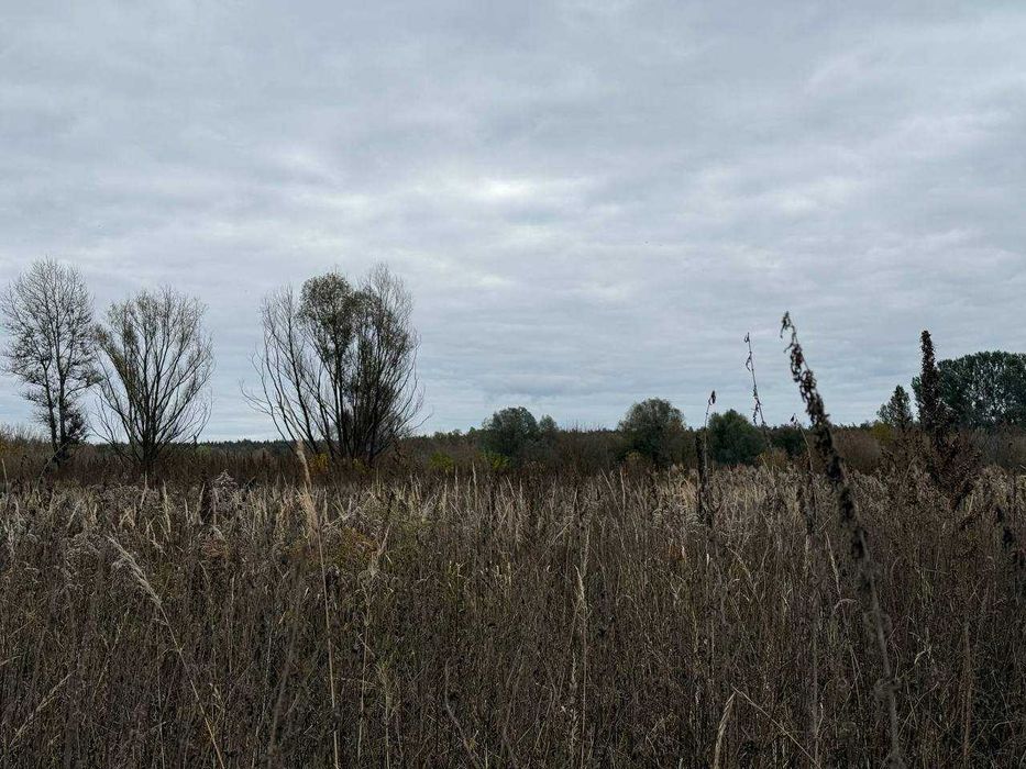 Продаж Ірпінь 164 сотки біля річки