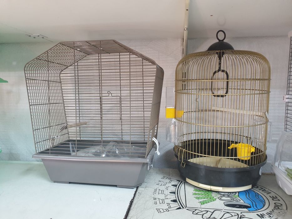 Gaiolas para aves