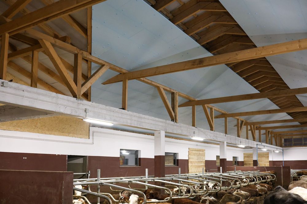 Błękitne Panele Izolacyjne Płyty Styrodur XPS AGRO 4,5,6,8,10,12 cm