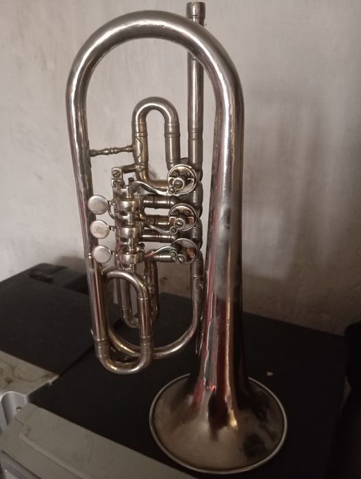 Баритон,тенор, корнети.