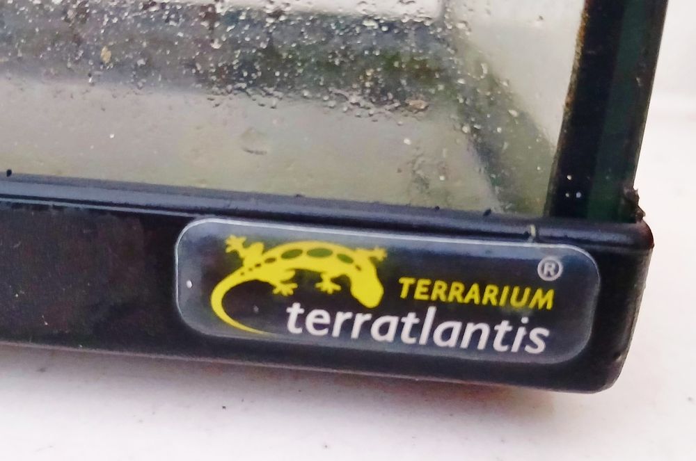 Aquário para répteis (tartaruga, etc)