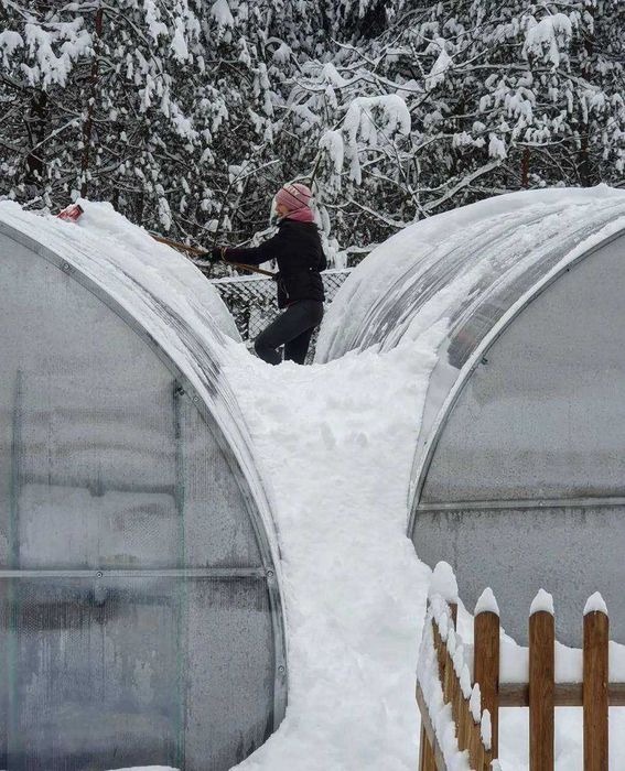 Szklarnia z poliwęglanu 3x4 3x6 3x8 3x10 POLSKI PRODUCENT + DOSTAWA