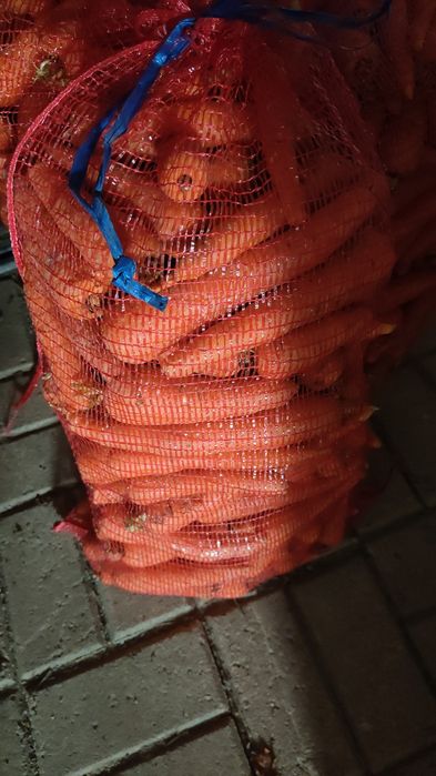 Saca 15 kg cenoura