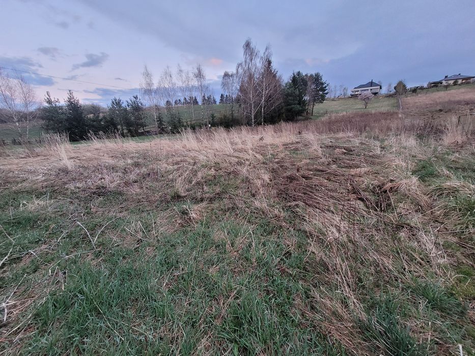 Piękna działka budowlana w Sandomierzu do sprzedania!25 arów! - Widok 2