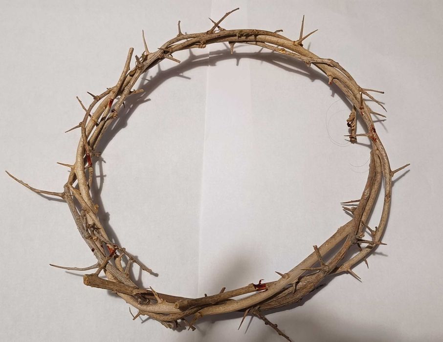 Prawdziwa korona cierniowa do video lub foto