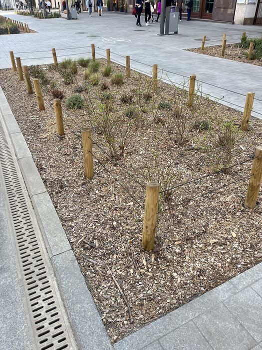 Kora ogrodowa sosnowa bigbag sortowana zrębka worek