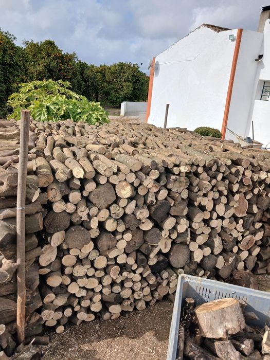 Lenha Bruta das laranjeiras